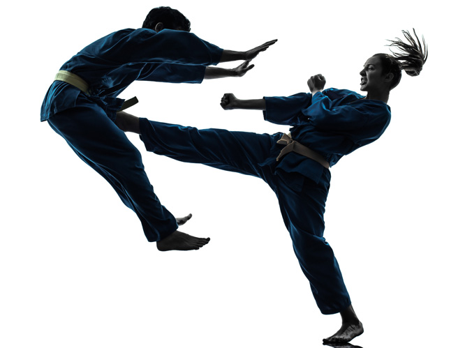 Kempo Karate 4